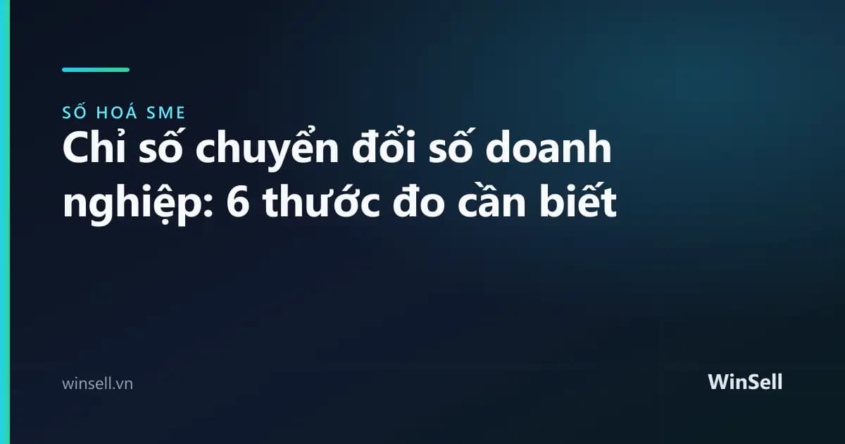 Chỉ số chuyển đổi số doanh nghiệp: 6 thước đo biết chương trình có chạy