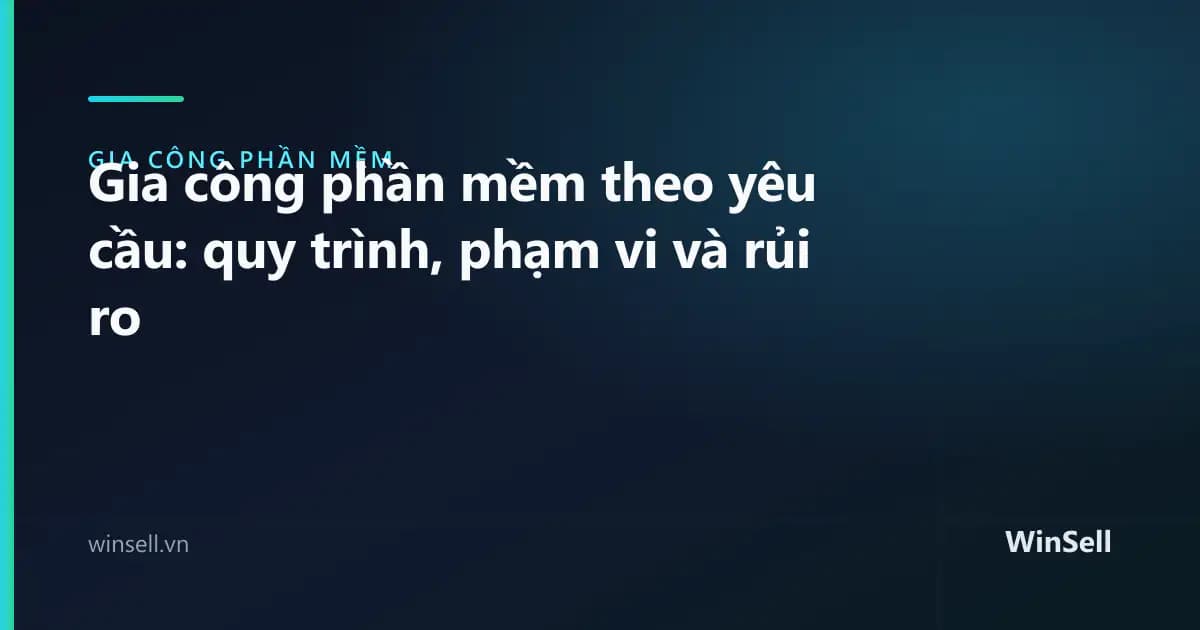 Gia công phần mềm theo yêu cầu: quy trình, phạm vi và rủi ro