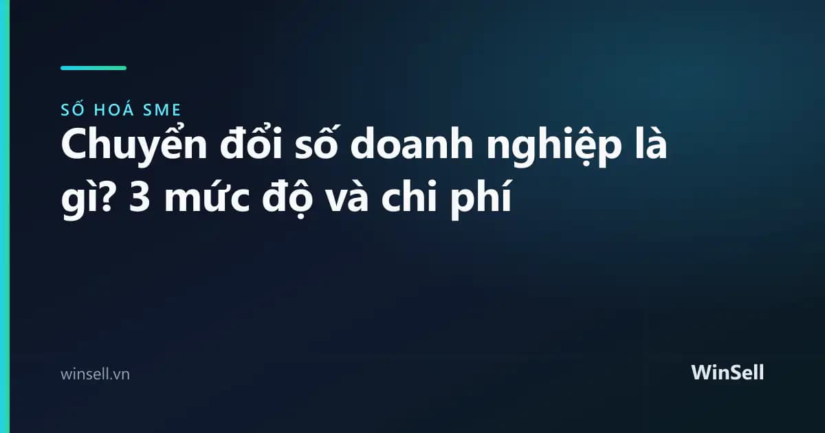 Chuyển đổi số doanh nghiệp là gì? 3 mức độ và chi phí tương ứng